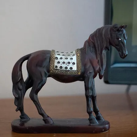 Bella تريبينيي